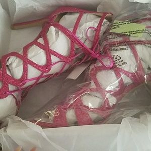 Hot Pink Glitter Stilettos/Heels/Shoes